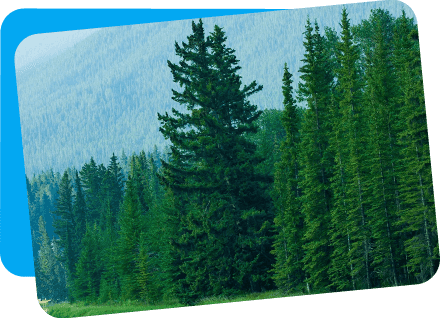 HUZHOU HONGCHANG TEXTILE TRADING CO., LTD.